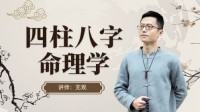 我那折腾了大半年的四柱命理365免费之旅