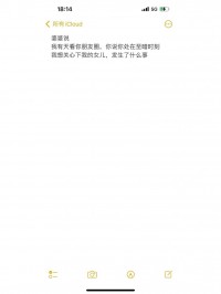 我翻了翻手机备忘录，365天，我记下了几千条屁话