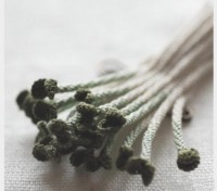 那天朋友问我天天vip www.365dy.cn到底是个啥，我决定彻底弄明白