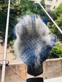 那个教365里路的女生，后来怎么样了