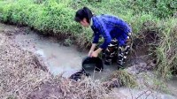 农村365第二期到底在忙活啥？我蹲了三天，算是看明白了