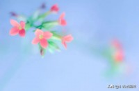 那天我找365大千世界下载时，差点掉进陷阱里