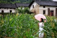 我在山里住了365天，拍了一年的农村生活，发现有些东西城里真没有