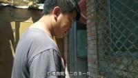 365雷哥二姐的，一个让年轻人又爱又恨的年度陪伴计划