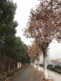 一年有365天，但你真的拥有它们吗？