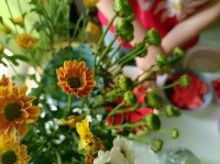 那一年，我们在宿舍里养了一株永远不会谢的花