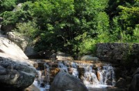 道须沟旅游区位于辽宁省宽甸满族自治县境内，是一个集自然景观、人文景观和休闲度假为一体的旅游胜地。以下是关于道须沟旅游的一些详细介绍