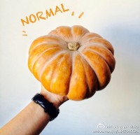昨晚南瓜问我，你能看365 dni吗？