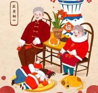 记录农村365的第一天，我为什么把镜头对准了自家的院子