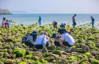 我在小火花365素材网泡了一整晚，居然不想睡了