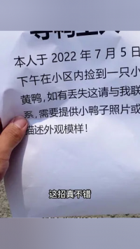 安驾365突然没声音了，我折腾了一上午才明白怎么回事