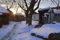我的农村365下雪，一场雪如何改变整个村庄的时间流速