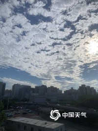 365朵玫瑰花教程，一个花艺小白的365天记录