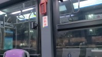 在深圳M365路公交车上，我找到了久违的出站感