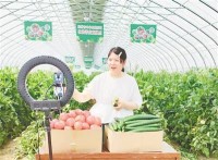 365村姑直播间，当手机成为新农具，她们在田野里找到了什么