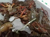 我用365天死磕一锅小龙虾，今天把血泪配方全交出来