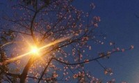 这365天，我看见了那个大千世界的细碎微光