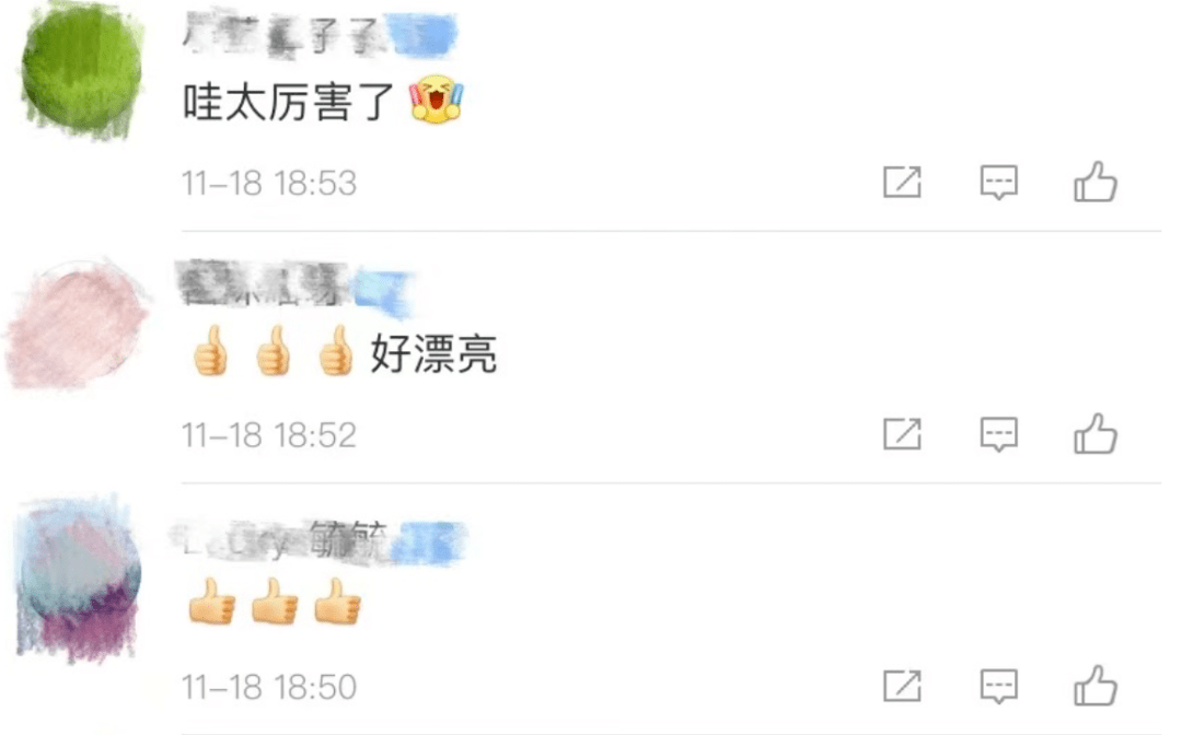 地衣最贵349元一斤？这石头上的菜到底贵在哪？