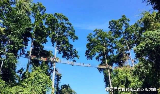 成都到西双版纳的自驾游是一次充满异域风情和自然美景的旅程。以下是一些建议和路线规划，帮助您更好地享受这次旅行