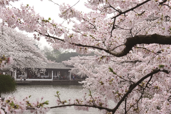 3月份是泰国旅游的绝佳时节，此时正值泰国春季，天气温暖而宜人，平均气温在20°C至30°C之间，非常适合户外活动和观光。以下是一些3月份在泰国旅游时可以体验的活动和景点推荐