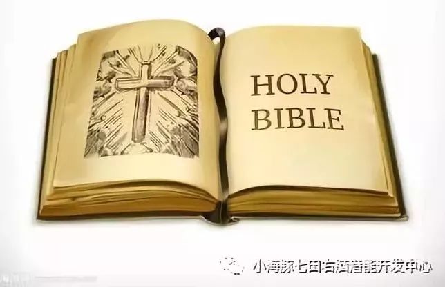 翻到2019年那本讲道集，冠绍恩365讲道还搁在书架上