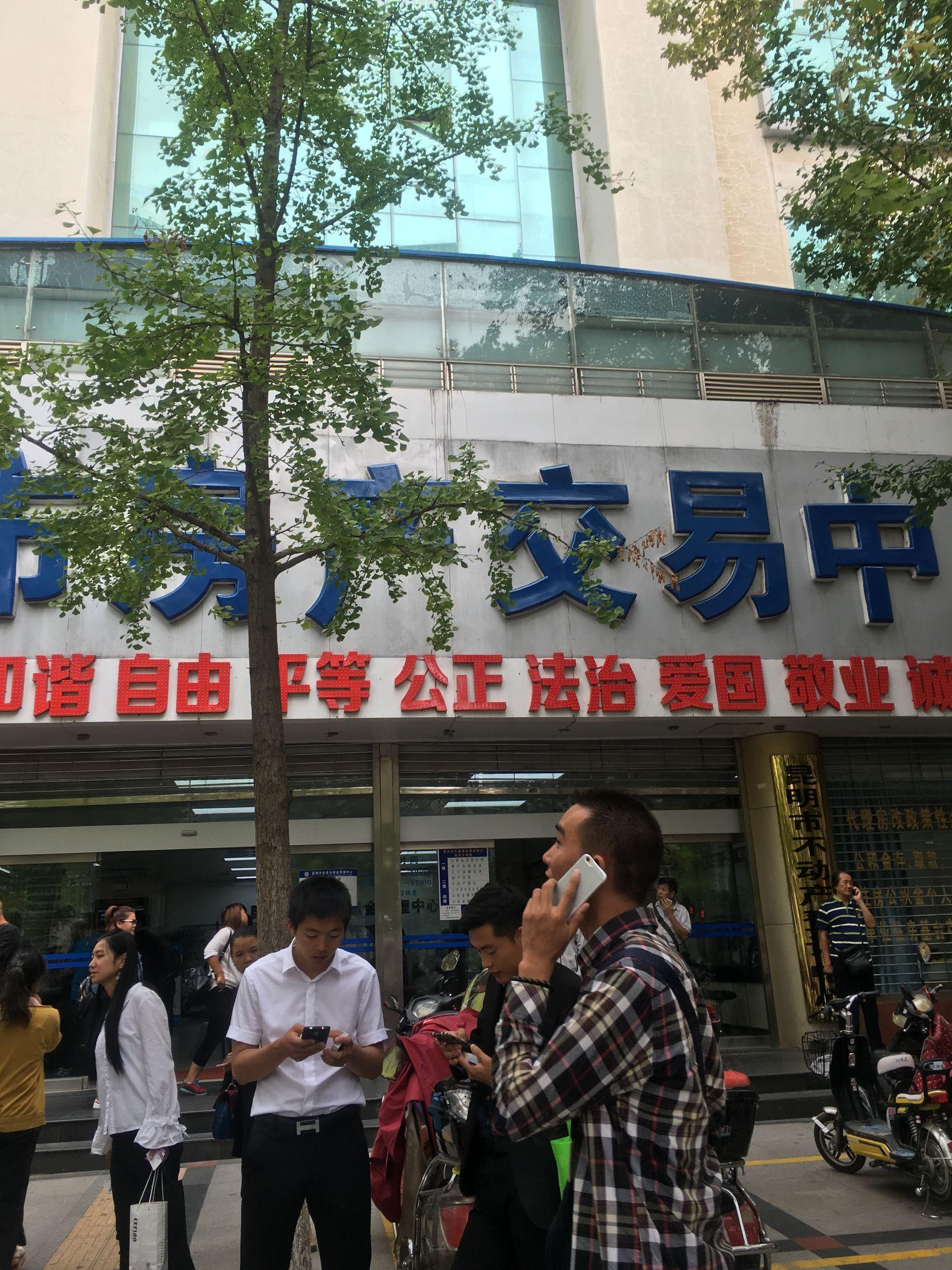 房产税的征收和查询方式主要分为以下几个步骤
