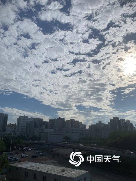 365朵玫瑰花教程，一个花艺小白的365天记录