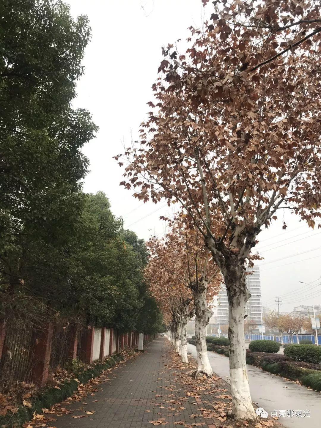 一年有365天，但你真的拥有它们吗？