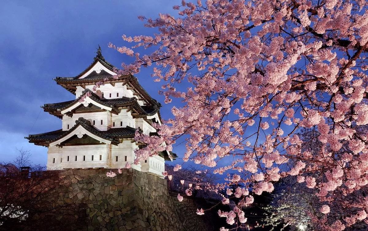 日本是一个充满魅力和文化多样性的国家，非常适合作为蜜月旅行的目的地。以下是一些推荐的日本蜜月旅游地点和活动，希望能为你们的旅行增添浪漫与难忘的回忆