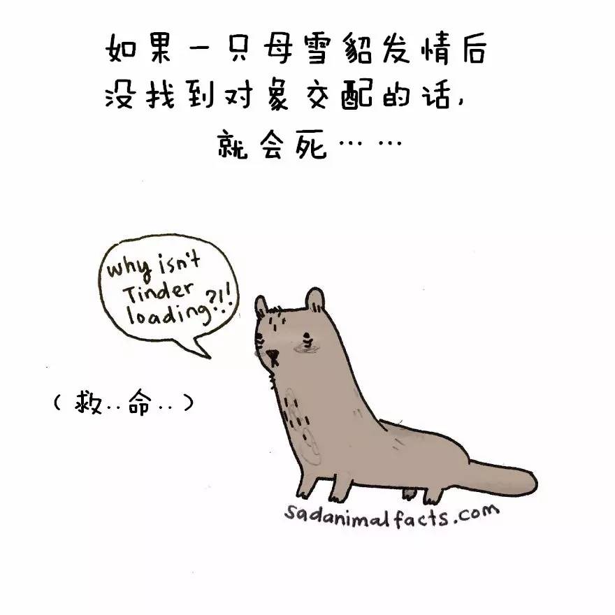 说来惭愧，我用了三年才真正看见这一年365天