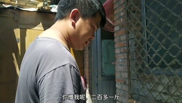 365雷哥二姐的，一个让年轻人又爱又恨的年度陪伴计划
