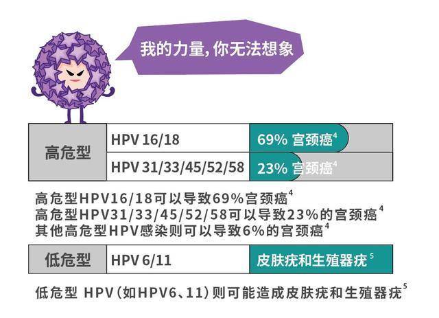 翻遍健康365节目全集，我才真正把HPV这件事弄明白
