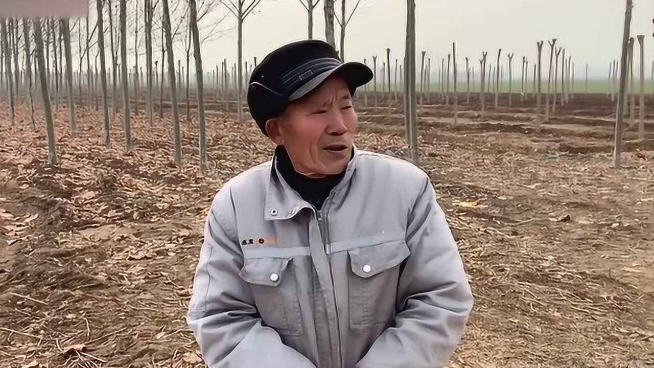 村里老张头让我帮他装了个农村365最新版本，这事儿还得从头说起