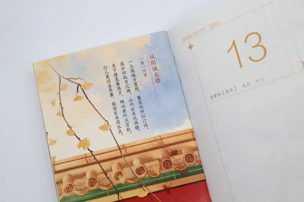 杏色资源365天天，一种温暖的日常生活哲学