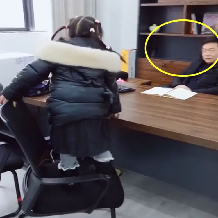 上周开会，我女儿突然冲进镜头大喊爸爸我要拉臭臭