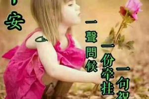 我为什么突然开始搜集365天祝福语 我为什么突然开始搜集365天祝福语
