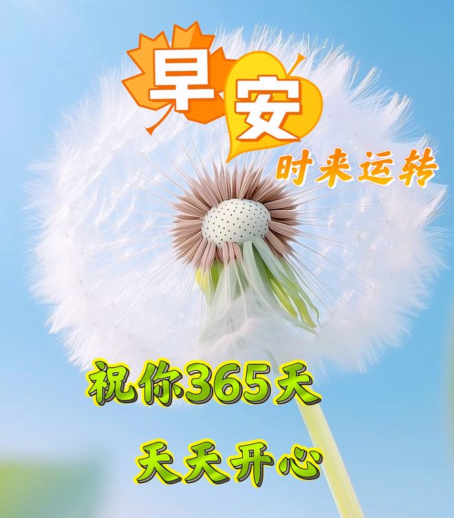 我为什么突然开始搜集365天祝福语 我为什么突然开始搜集365天祝福语