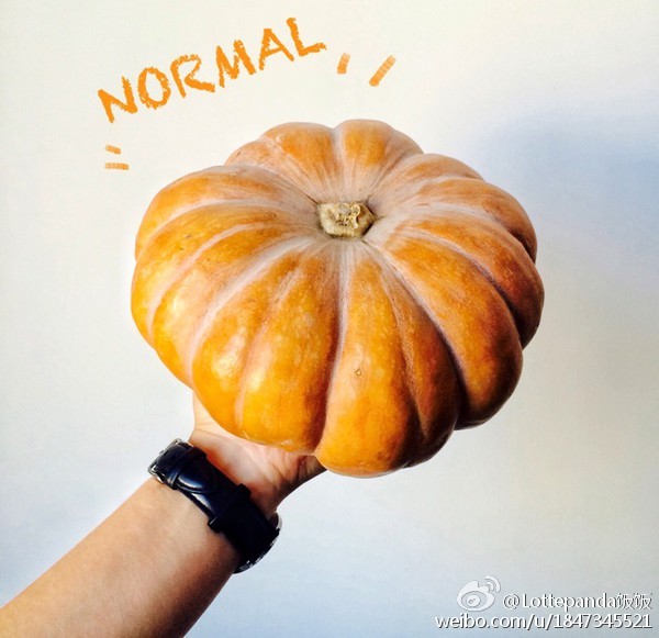 昨晚南瓜问我，你能看365 dni吗？