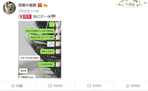 朋友甩给我一个叫365大佬在线看的链接，我打开了新世界