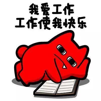 我过了一年365天全面无休的生活，有些话不吐不快