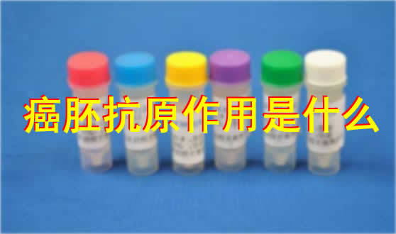 和365心血管刘兵医生打交道这一年，我把心脏那点事儿整明白了