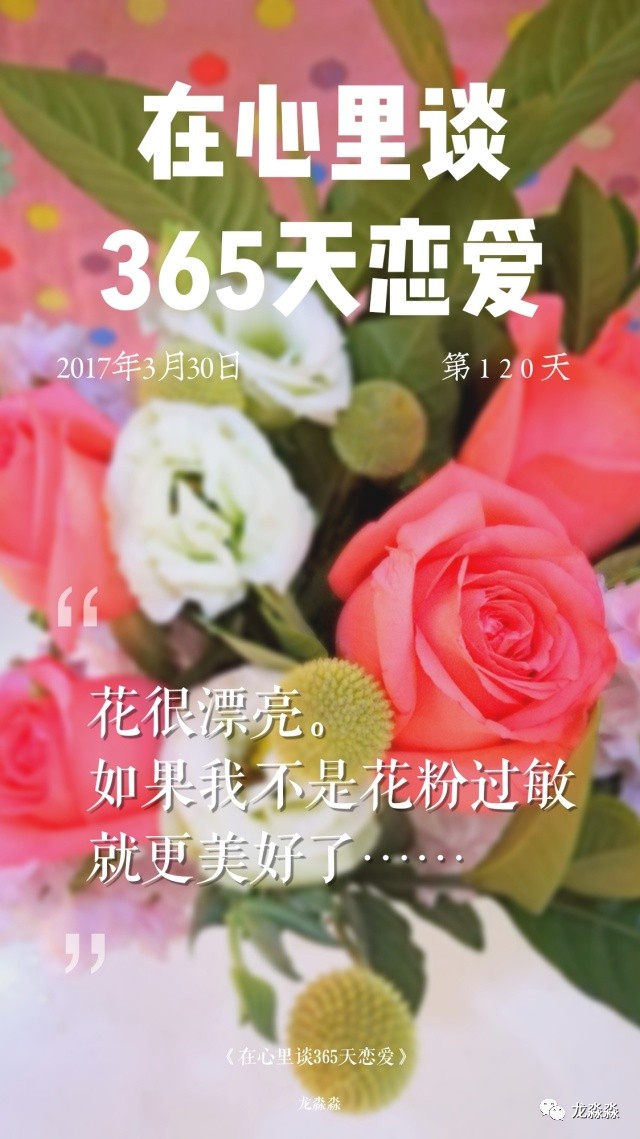 365天爱上完整版，把日子过成自己的原创作品