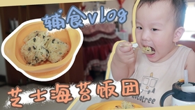 饭团日记第365集，一只碗，忽然空了