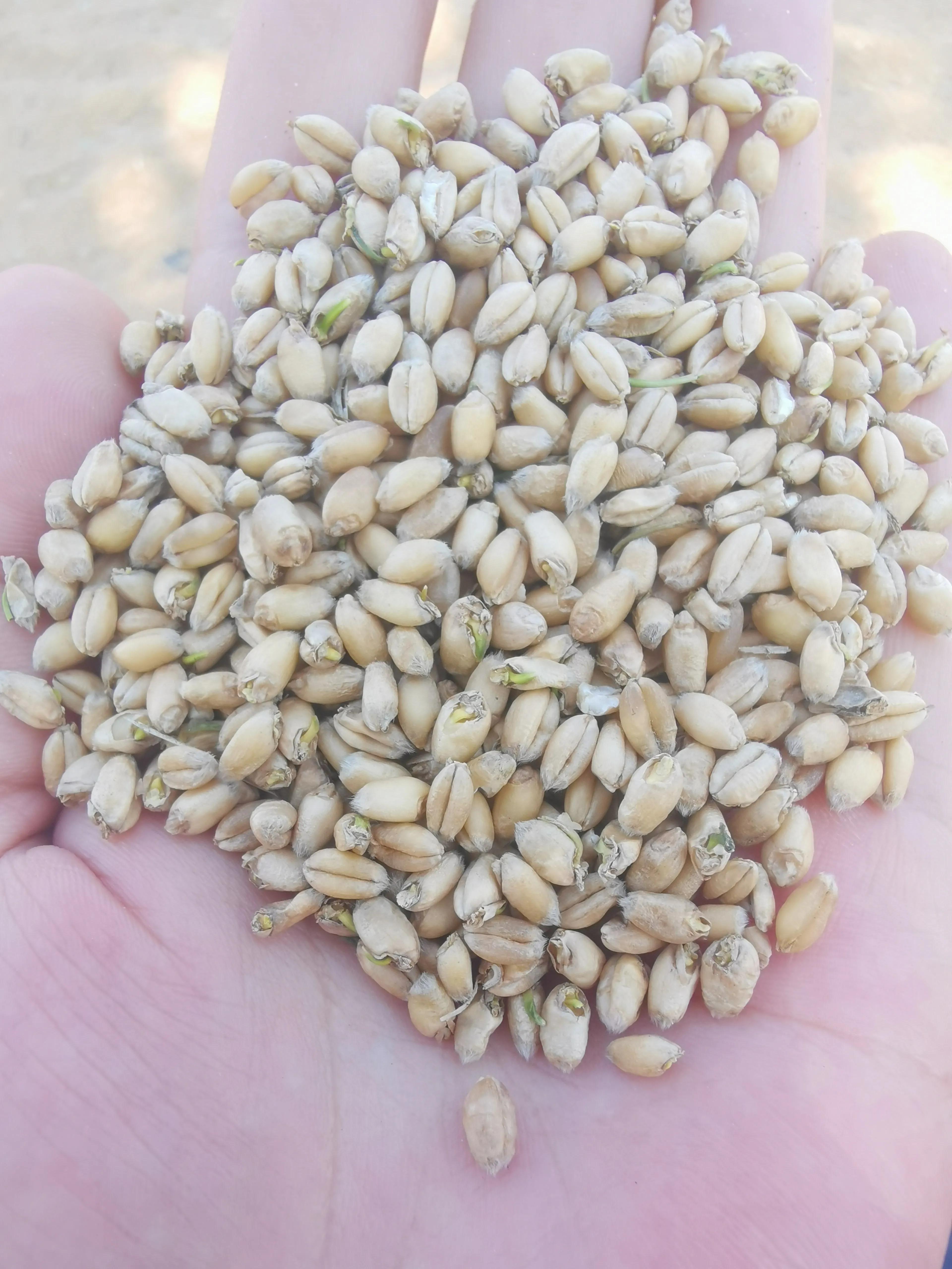 那个说要一年赚365万的朋友，后来怎么样了