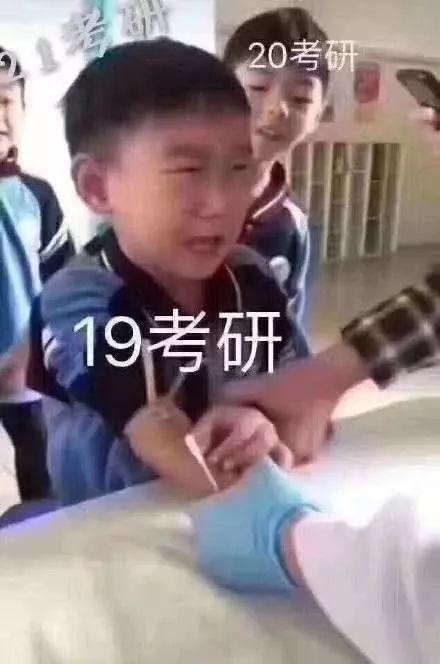 365编辑器免费版到底能不能用？我折腾了一下午的真实体验