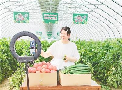 365村姑直播间，当手机成为新农具，她们在田野里找到了什么