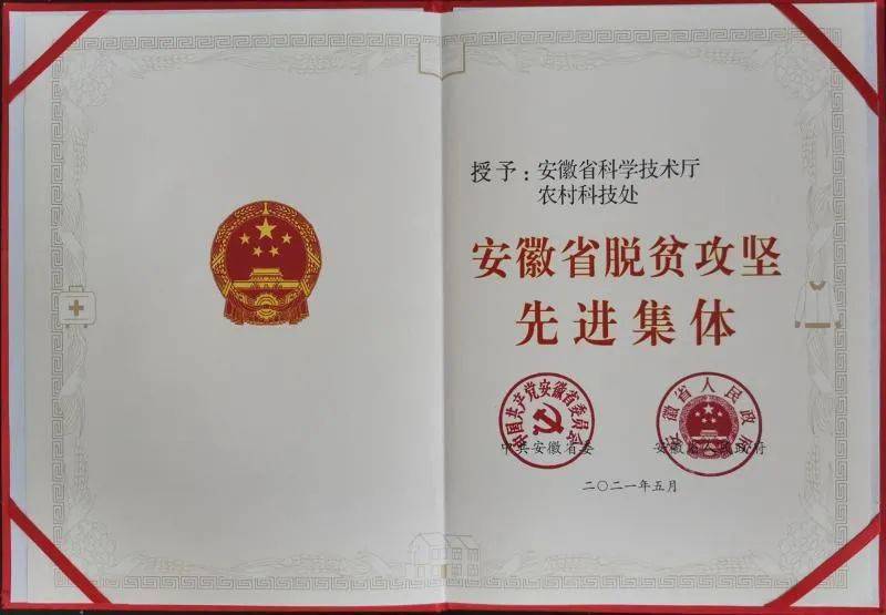 我在农村365团队兄弟待了一年，有些事想跟你说说