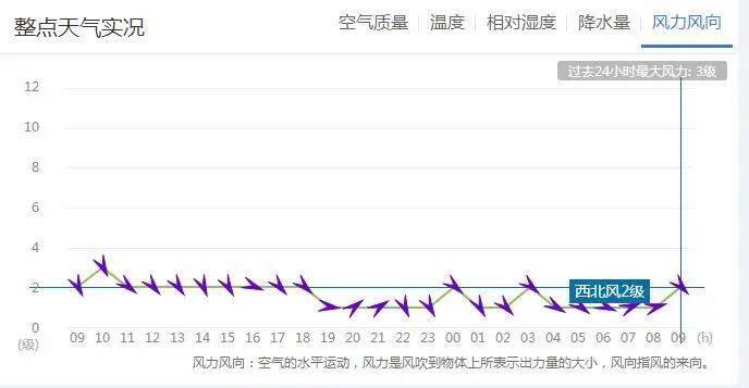 一年365天唱歌，我的嗓子没废，人生先变了