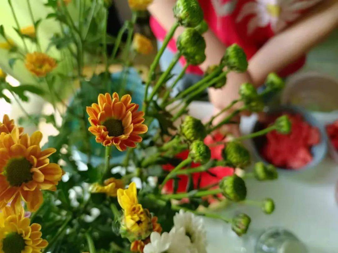 那一年，我们在宿舍里养了一株永远不会谢的花