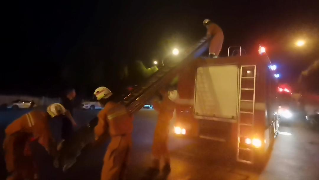 我们楼下那个消防站，昨晚又出警了
